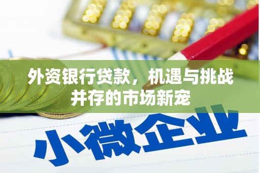 都江堰外资银行贷款，机遇与挑战并存的市场新宠