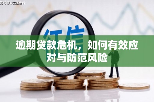 都江堰逾期贷款危机，如何有效应对与防范风险