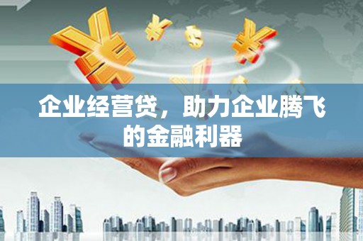 都江堰企业经营贷，助力企业腾飞的金融利器