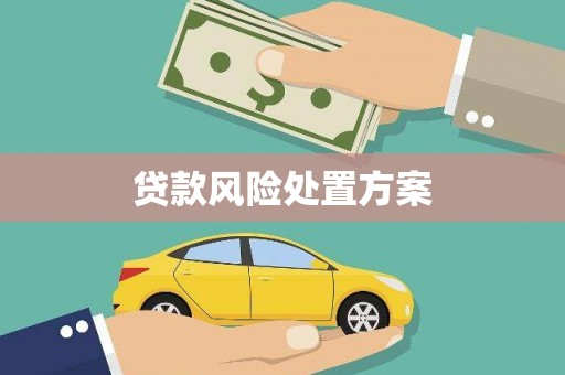 都江堰贷款风险处置方案