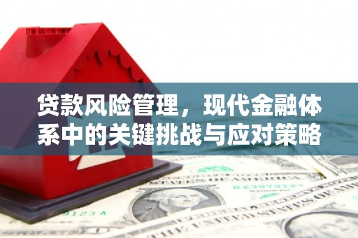 都江堰贷款风险管理，现代金融体系中的关键挑战与应对策略