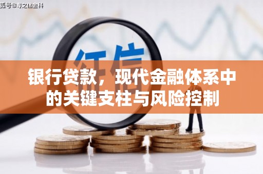 都江堰银行贷款，现代金融体系中的关键支柱与风险控制