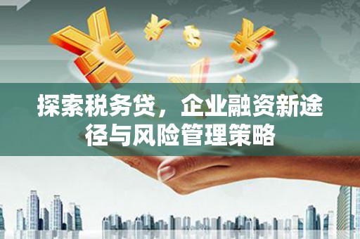 都江堰探索税务贷，企业融资新途径与风险管理策略