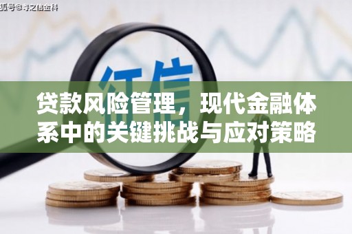 都江堰贷款风险管理，现代金融体系中的关键挑战与应对策略