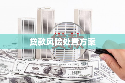 都江堰贷款风险处置方案