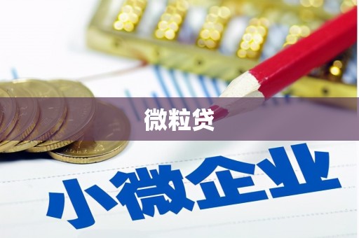 都江堰微粒贷