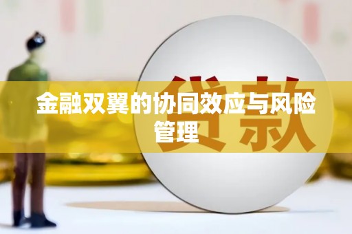 都江堰金融双翼的协同效应与风险管理