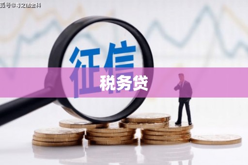 都江堰税务贷